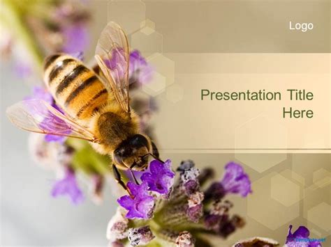 Bee Powerpoint Template